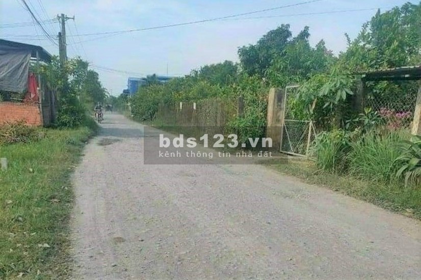 Bán đất xã Hòa Khánh Đông, huyện Đức Hòa. 5x25m. SHR. 1 tỷ 250