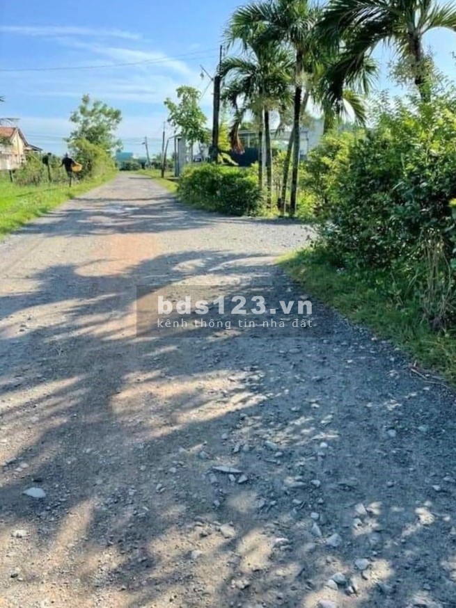 Bán đất xã Hòa Khánh Đông, huyện Đức Hòa. 5x25m. SHR. 1 tỷ 250