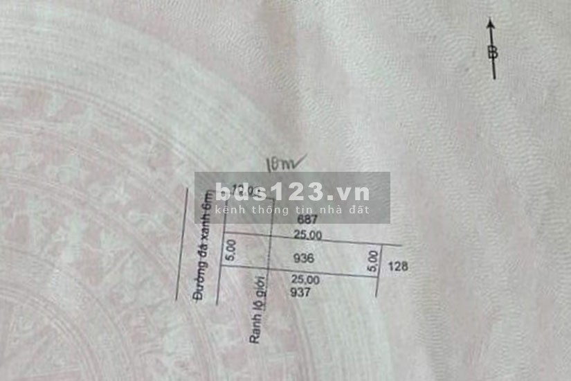 Bán đất xã Hòa Khánh Đông, huyện Đức Hòa. 5x25m. SHR. 1 tỷ 250