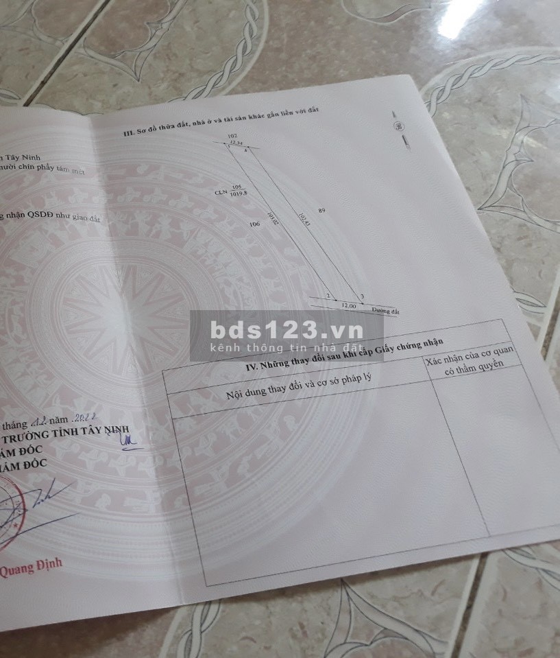 Gia đình chú 7 em cần sang bán lô đất vườn có sẳn hơn 150 gôc mít thái