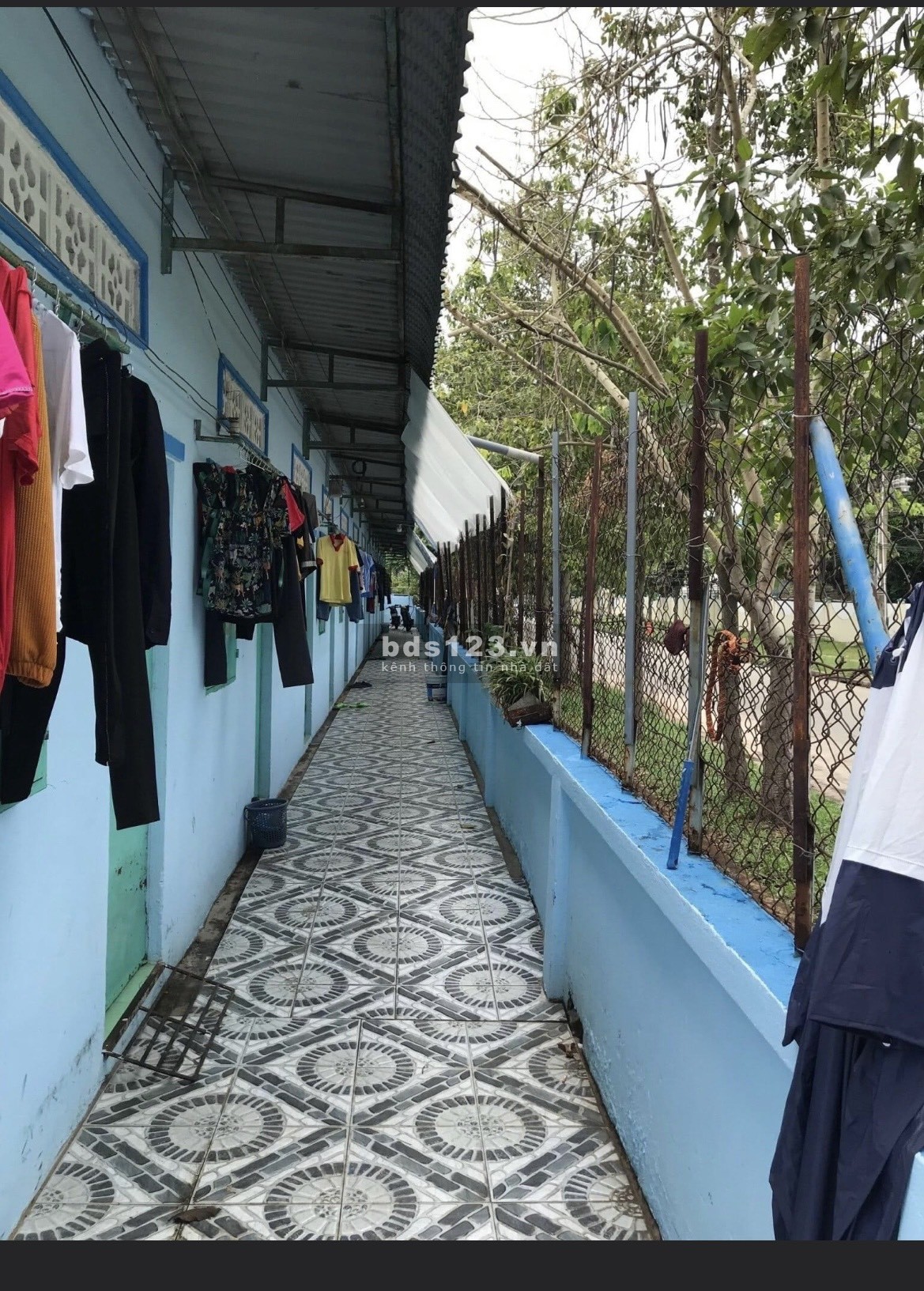 Ra nhanh bán dãy trọ 14p 320m2, SHR, Ngay QL22b, Gò Dầu, Tây Ninh, 725tr