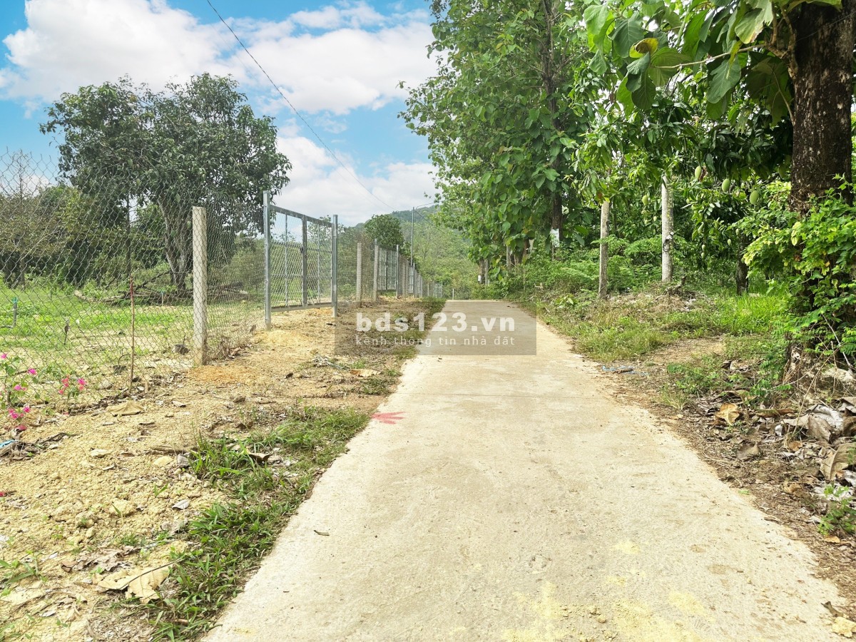 Bán đất thổ vườn - gần hồ Trị An 1098m2 ngang 13m, giá chỉ 1.2tr/m2, đường ôtô