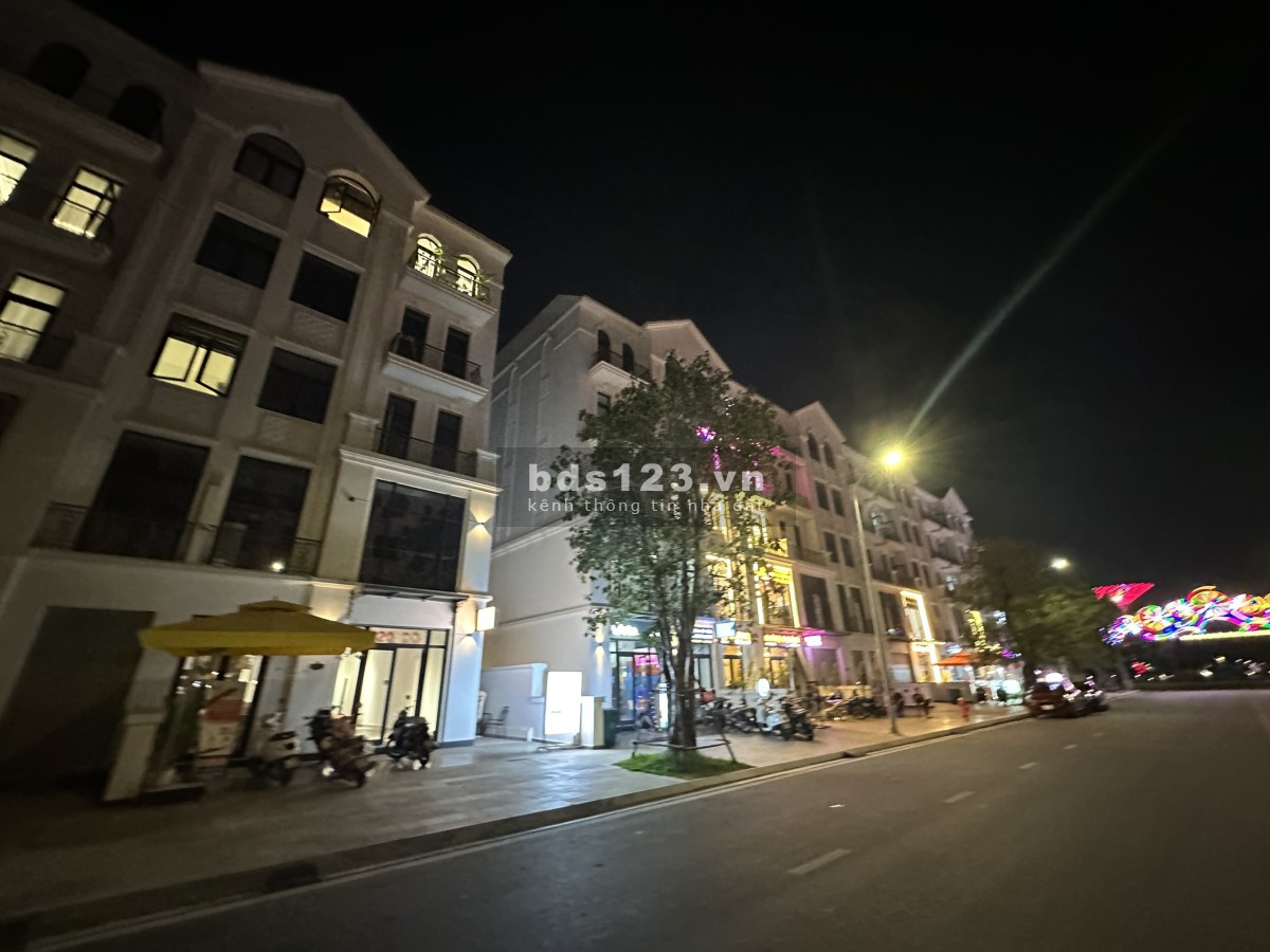 Cho thuê mặt bằng nhà phố hoàn thiện 162m2, trục đường chính của vinhomes phù hợp kinh doanh