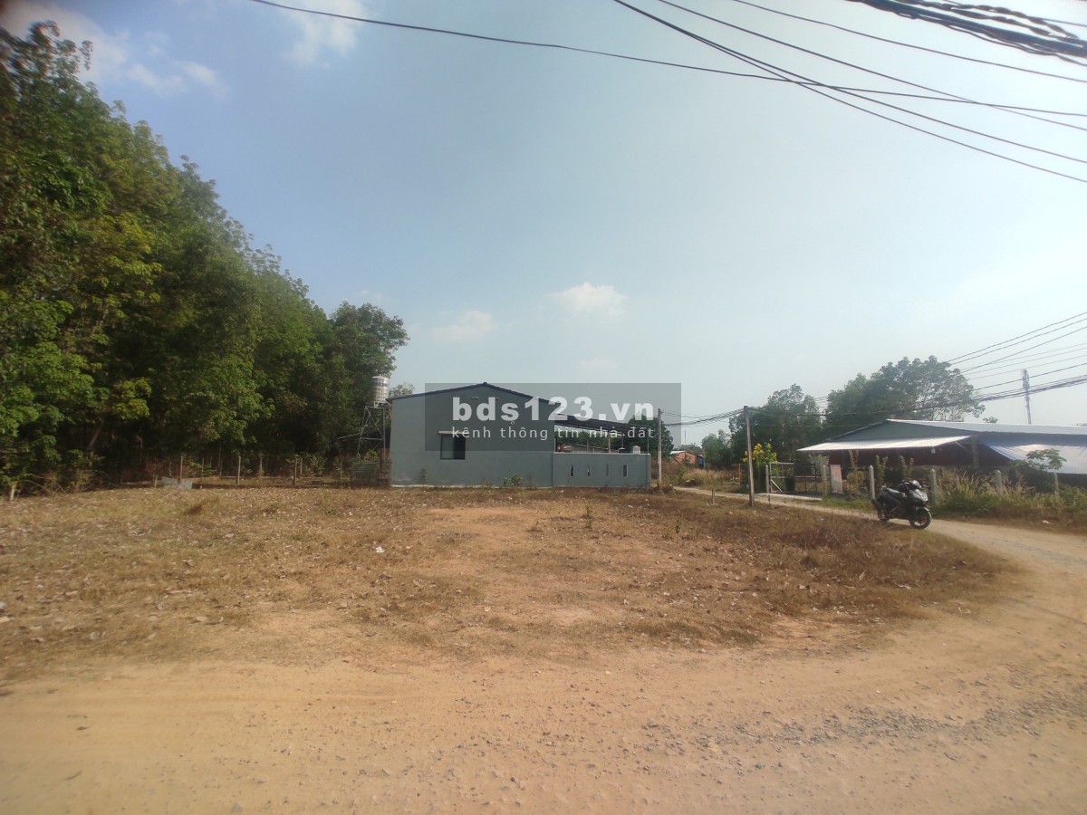 Bán đất ngộp 381m2 ( 12,9 x 29) sổ sẵn 2 mặt tiền, giá giảm sâu
