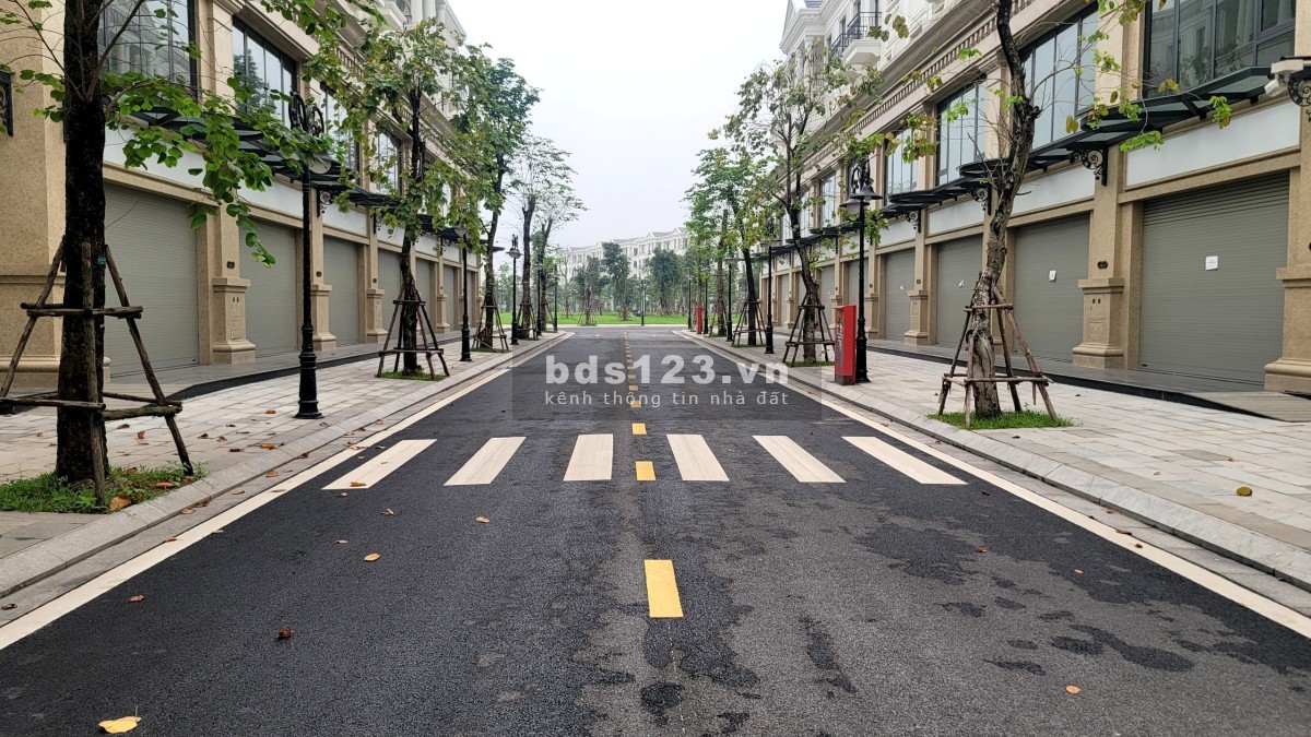 Bán căn biệt thự góc 3 mặt thoáng giá chỉ 9.x tỉ Vinhomes Ocean Park Gia Lâm