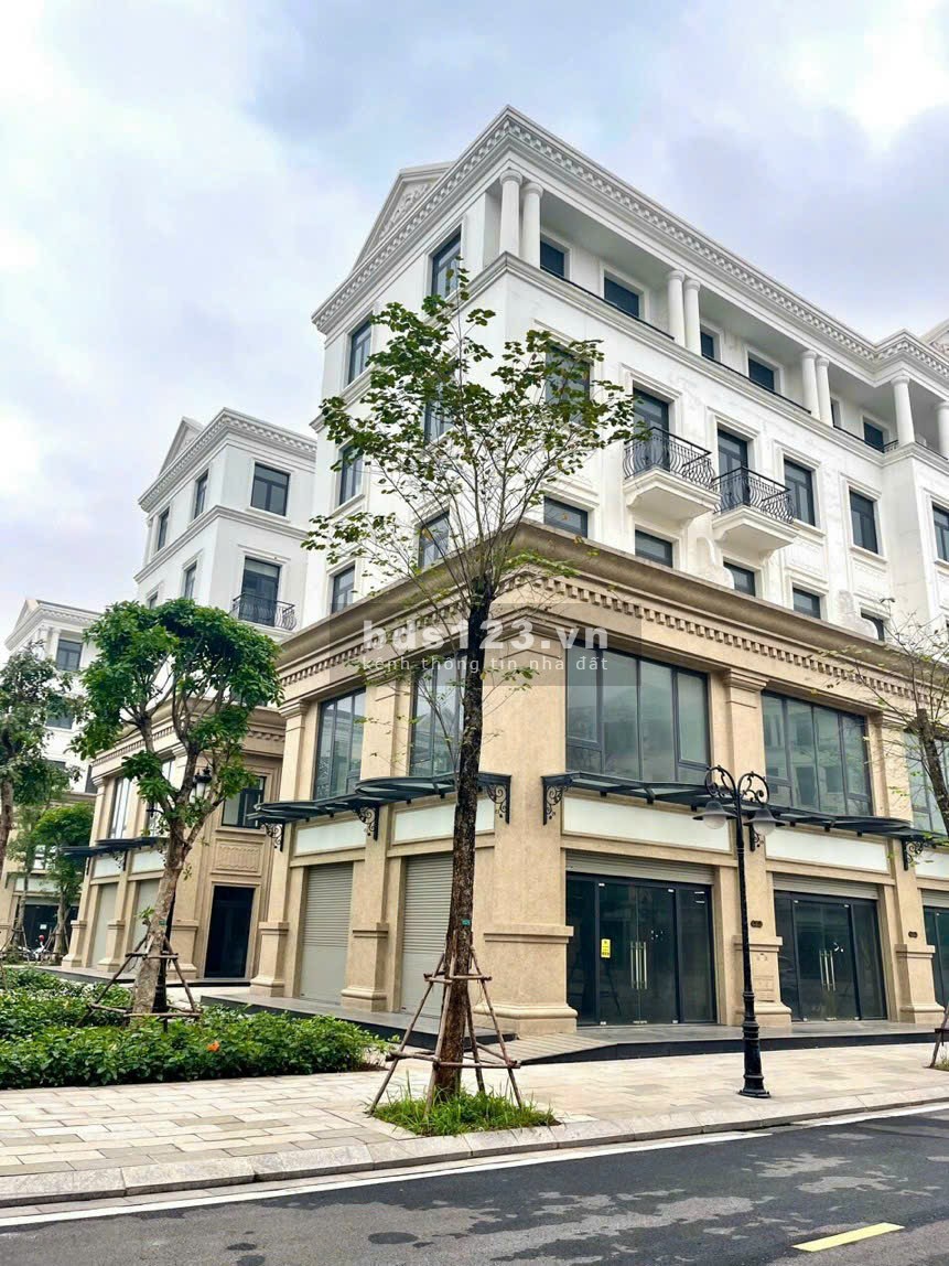 Bán căn biệt thự góc 3 mặt thoáng giá chỉ 9.x tỉ Vinhomes Ocean Park Gia Lâm