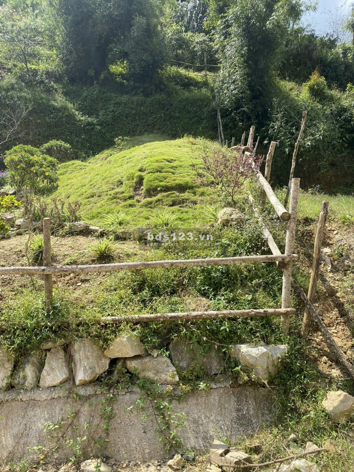 Bán đất 3 nhất: mới nhất, rẻ nhất, đẹp nhất thị trường trong thời điểm này, Sapa, Lào Cai