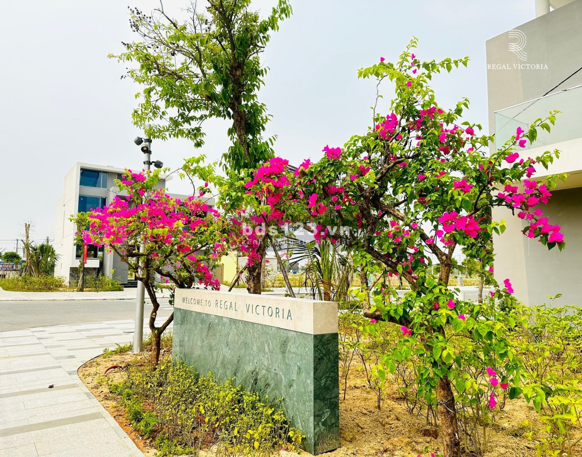 Bán nhanh biệt thự 427m2 3PN có hồ bơi cạnh Ocean Villas View kênh 2 mặt tiền 12tỷ