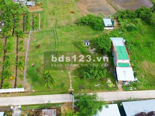 Chỉnh chủ cần bán mảnh đất chỉ hơn 3tr/m cho nhà đầu tư đón sóng quy hoạch Vân Phong - Khánh hoà