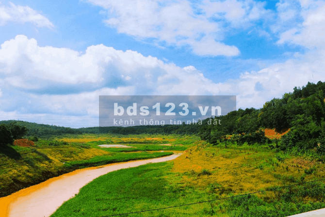 Đất thổ cư mặt tiền đường nhựa