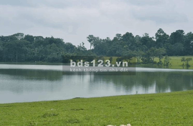 Đất thổ cư mặt tiền đường nhựa