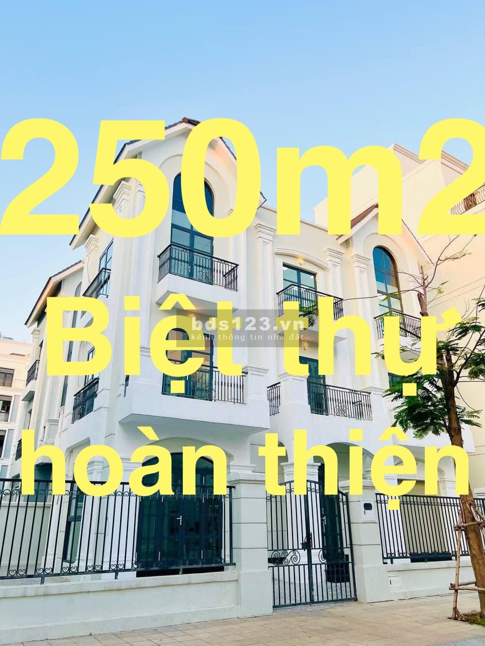 Vinhomes thuê nguyên căn biệt thự đơn lập 250m2 hoàn thiện cơ bản 1 trệt 2 lầu