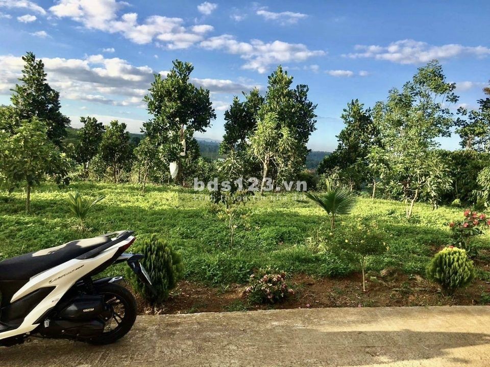 Bán đất vườn sầu riêng, vườn điều hơn 1000m giá 190tr