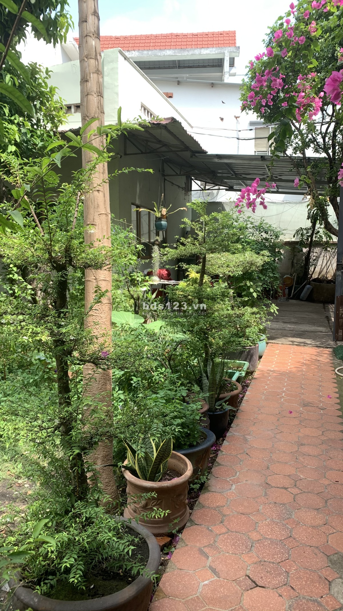 Cho thuê nhà nguyên căn tại hẻm siêu thị điện máy Nguyễn Kim