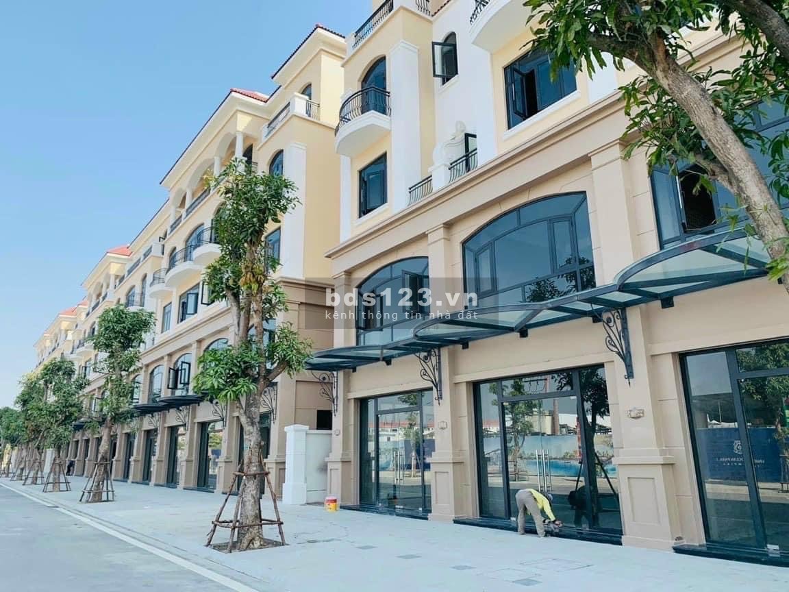 Chính chủ bán gấp biệt thự phân khu thời đại Vin hưng yên 3 - The Crown