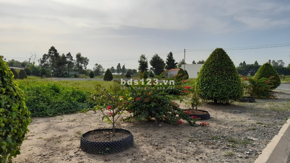 Bán lô đất nền dự án 117,6m2 Khu Dân Cư Việt Hóa, Phường 6, Tp Tân An. Chính chủ bán nhanh.