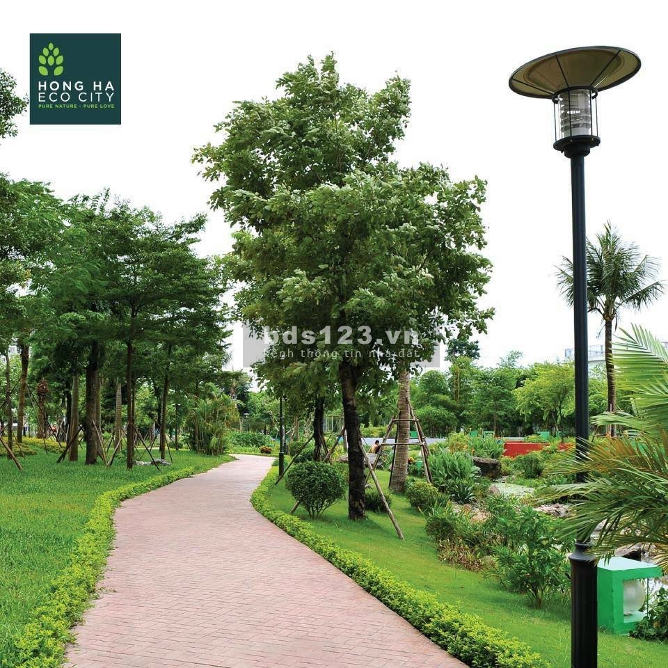 Bán căn hộ chung cư chính chủ 3 ngủ Tòa CT12 Hồng Hà Ecocity