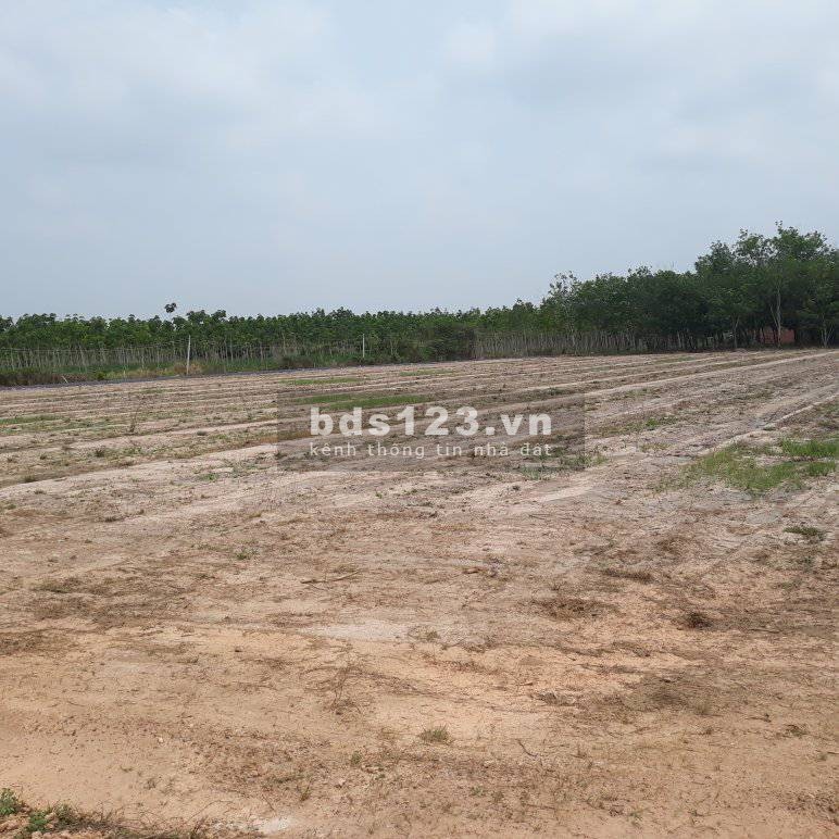 Ngộp cần ra nhanh nền đất mặt tiền đường quy hoạch lộ giới 20m TT. Tân Biên gần ngã 3 lớn