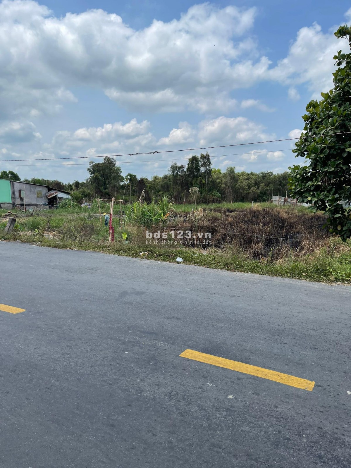 Bán đất 1696M2 có 139M2 thổ,19mx85m, mặt tiền đường tỉnh 829 huyện Tân Thạnh Long An