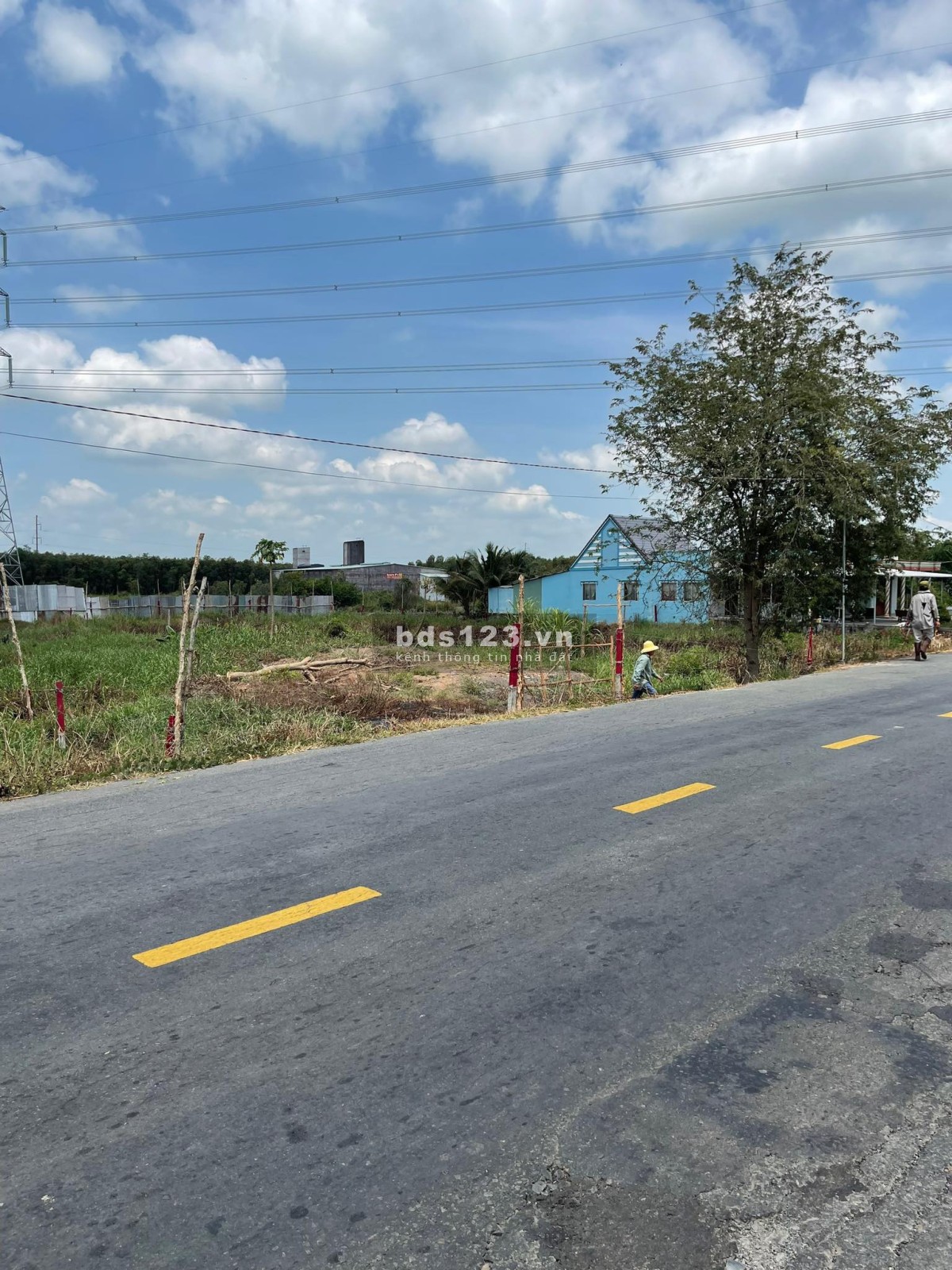 Bán đất 1696M2 có 139M2 thổ,19mx85m, mặt tiền đường tỉnh 829 huyện Tân Thạnh Long An
