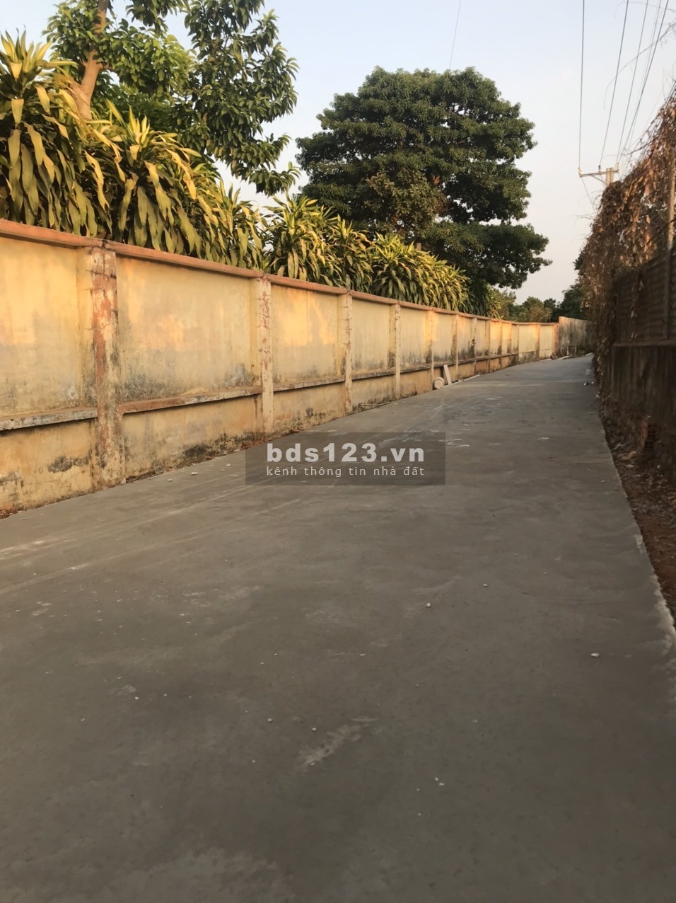 Chính chủ cần bán lô đất ngay trung tâm xã, 700 triệu buông sổ không đắn đo suy nghĩ