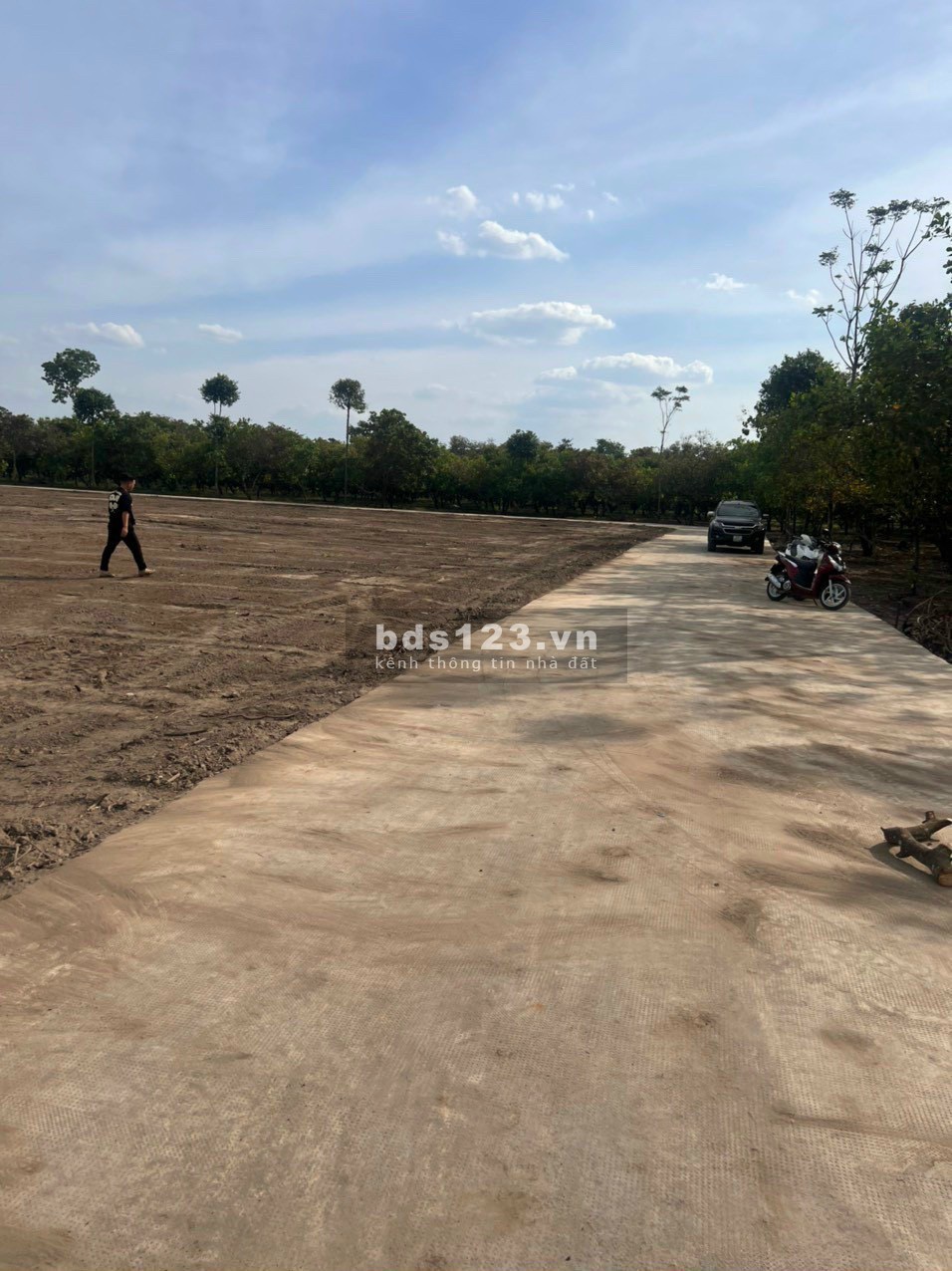 Bán đất sổ sẵn Phú Riềng 200m2 có giá 250 triệu