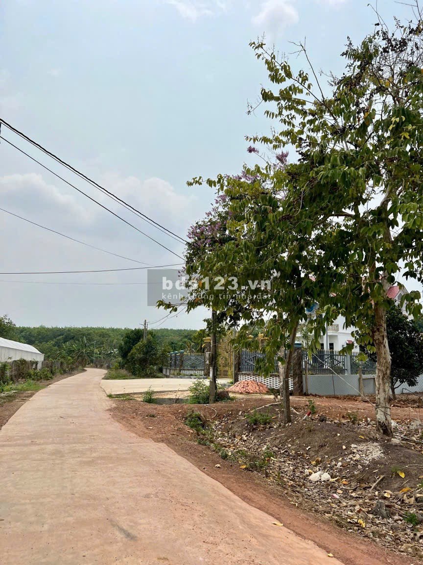 Bán đất sổ sẵn Phú Riềng 200m2 có giá 250 triệu
