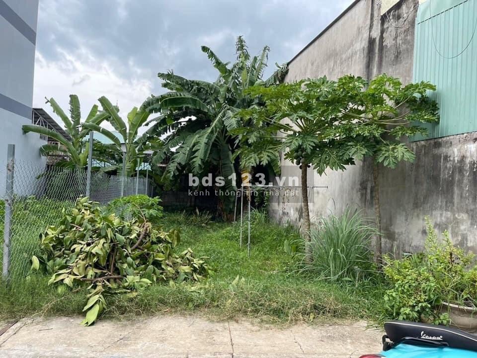 Bán đất 100% thổ cư Phan Văn Hớn-Xuân Thới Thượng-Hóc Môn 137,8m2 SHR 490tr