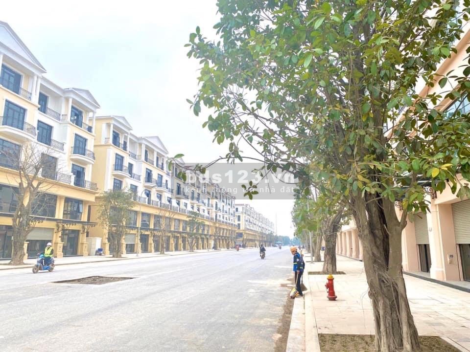 Bán biệt thự 58.5m2 kẹt ngân hàng cạnh trường học, Tây Nam giá gốc 6.9 tỷ - Bán 5.6 tỷ có chuyển vay