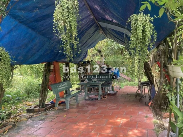 Cần bán đất thổ vườn, xã Bình Chánh