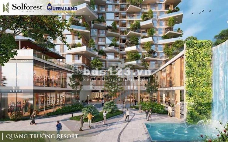 Bán chung cư Sol Forest Ecopark chính chủ, tòa SO2, căn 05A giá từ chủ đầu tư