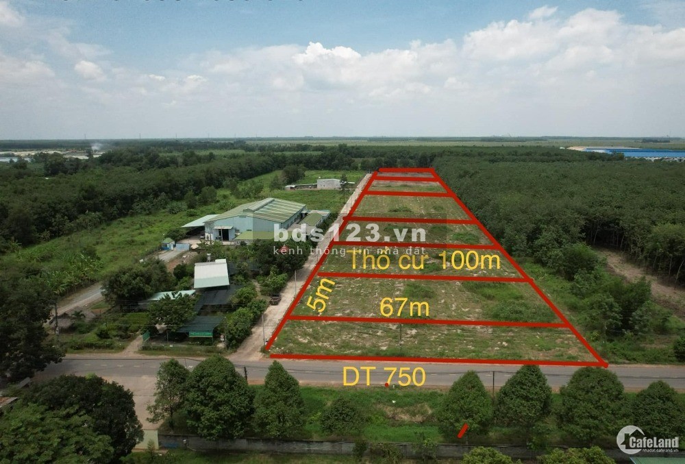Bán gấp 340m đất thổ cư 100m xây nhà trọ, kho xưởng sx nhẹ tại Bàu Bàng, có hổ trợ bank
