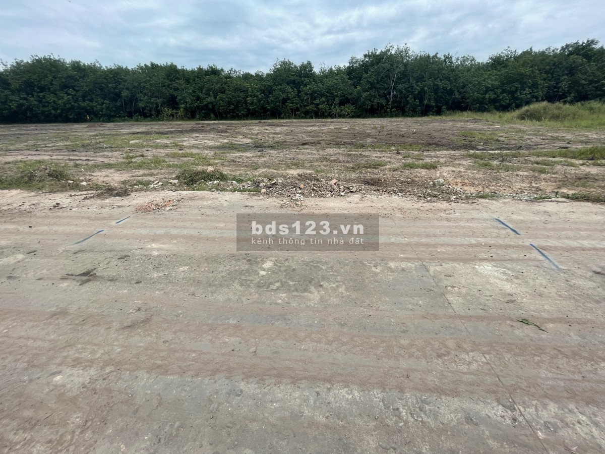 Bán gấp 340m đất thổ cư 100m xây nhà trọ, kho xưởng sx nhẹ tại Bàu Bàng, có hổ trợ bank