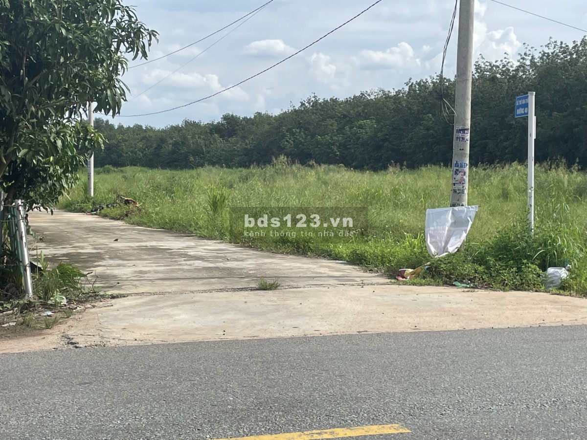 Bán gấp 340m đất thổ cư 100m xây nhà trọ, kho xưởng sx nhẹ tại Bàu Bàng, có hổ trợ bank