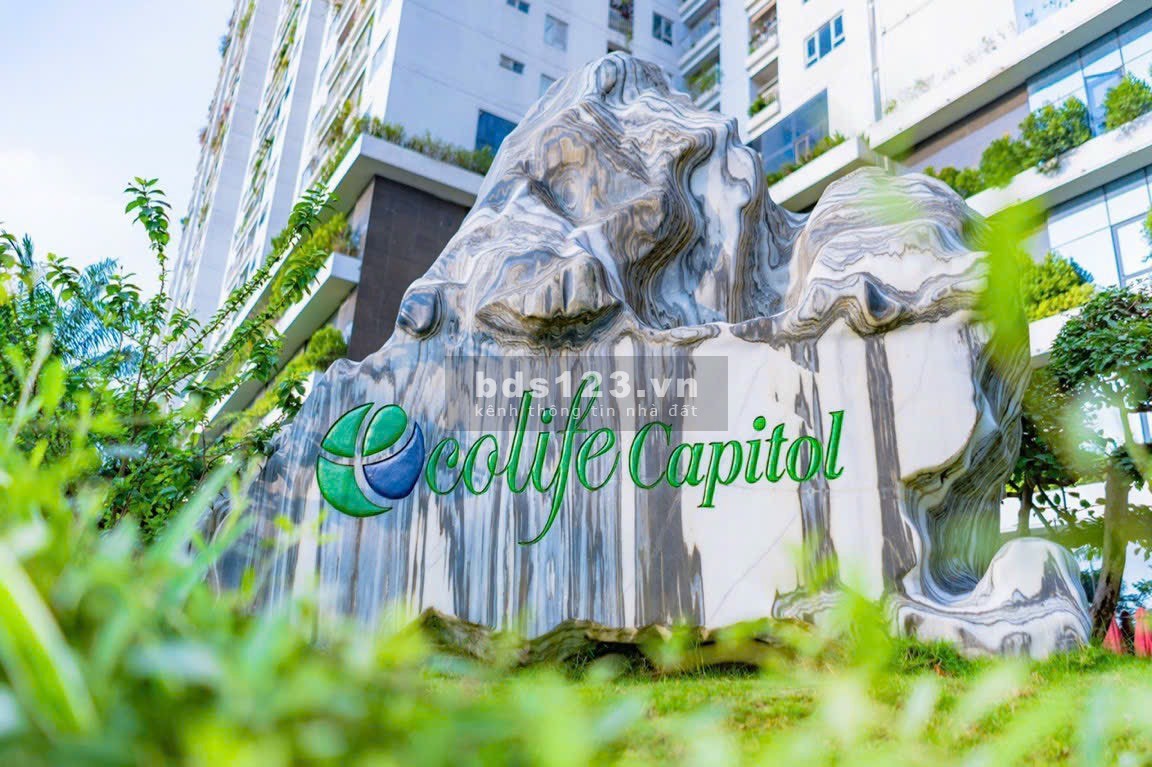 Bán căn hộ tại ecolife capitol, giá 29tr/m2, tt 50% nhận nhà ngay