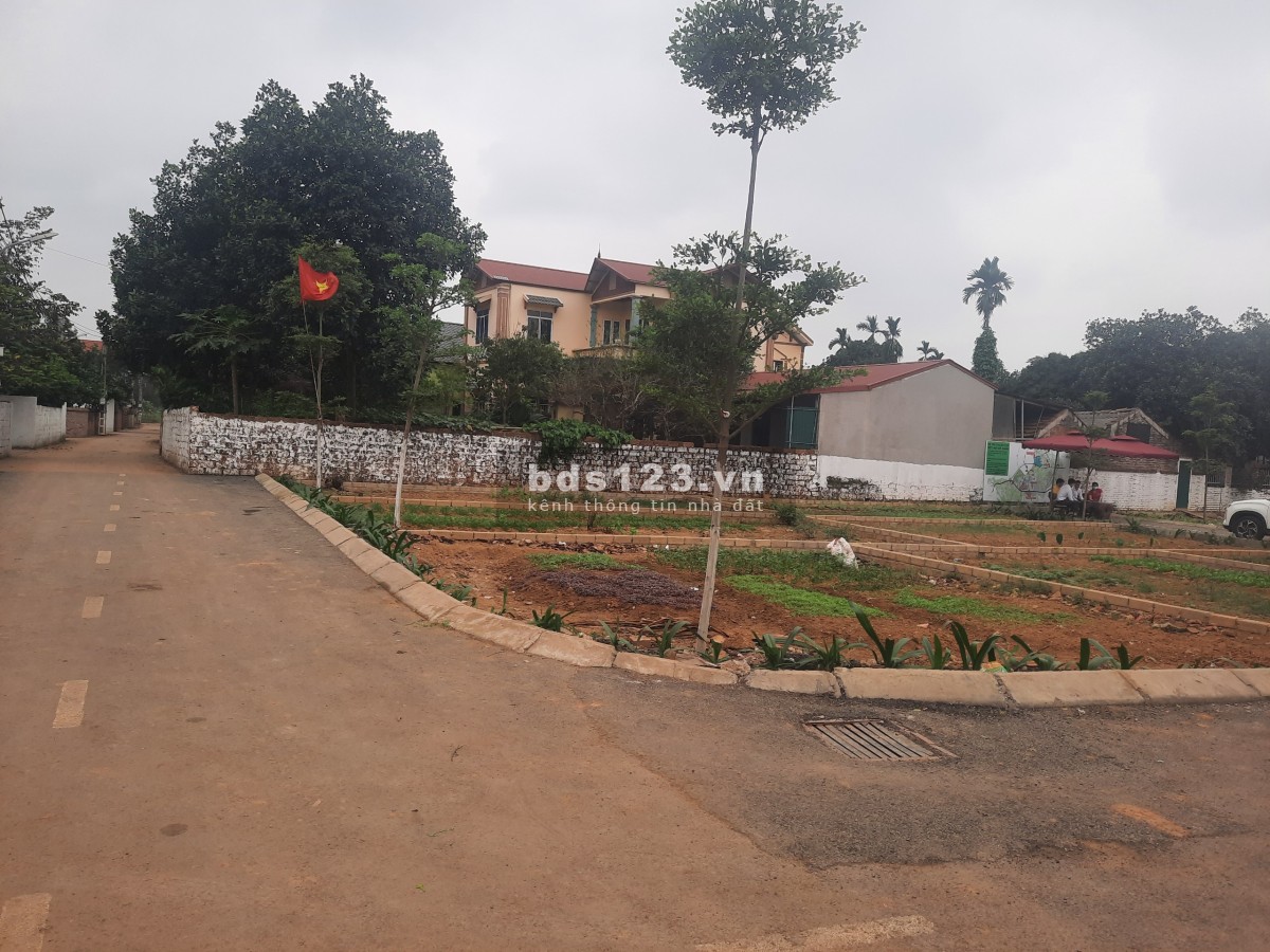 Bán đất nền Hòa Lạc gần đại học FPT cắt lỗ sâu bán kính 3,5km - 5km quay đầu giá 650 triệu