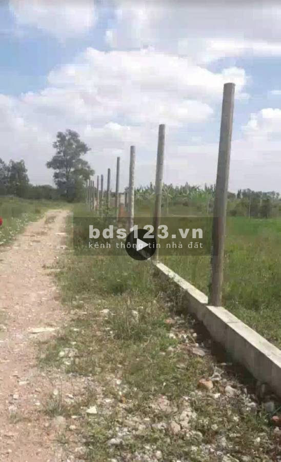 Bán gấp bán lỗ đất cho nhà đầu tư 2.8tr/m2 ở Vĩnh lộc A, Bình Chánh