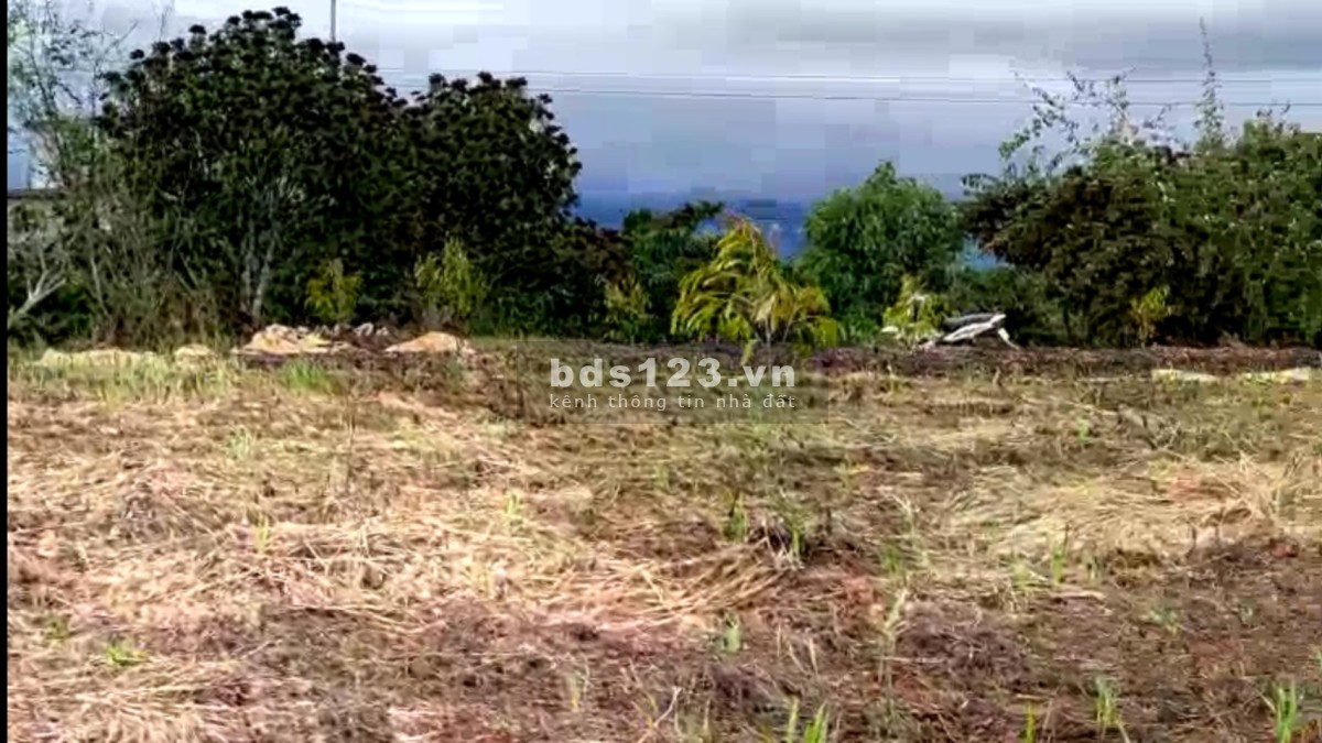 Chính chủ bán gấp 1.500m2 giá sốc Lâm Hà gần Đà Lạt, 14m đường xe hơi, QH thổ cư