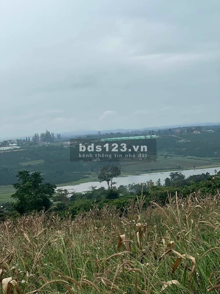 Chính chủ bán gấp 1.500m2 giá sốc Lâm Hà gần Đà Lạt, 14m đường xe hơi, QH thổ cư