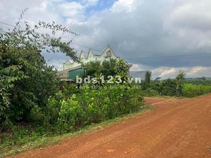Chính chủ bán gấp 1.500m2 giá sốc Lâm Hà gần Đà Lạt, 14m đường xe hơi, QH thổ cư