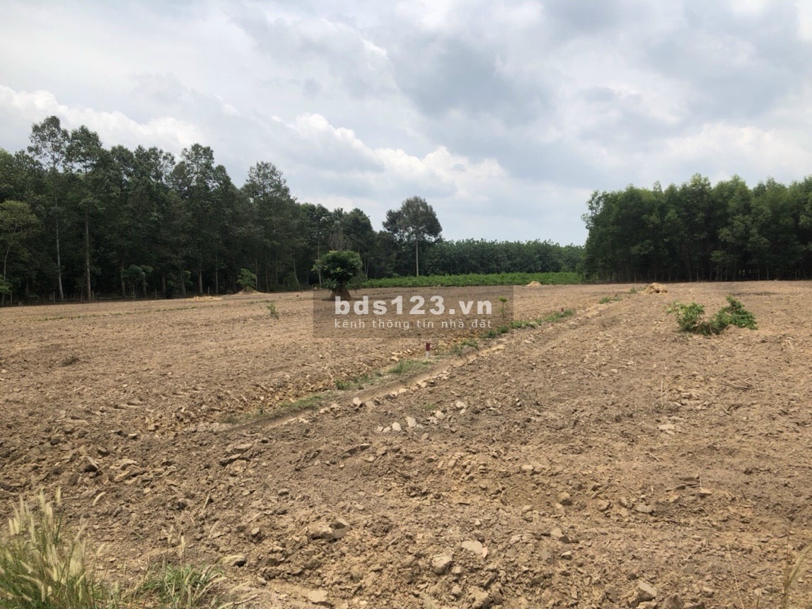 Chính chủ bán đất Tân Hiệp, gần sân bay Long Thành, sau ủy ban xã 3000m2-1ha, có thổ cư, sổ riêng