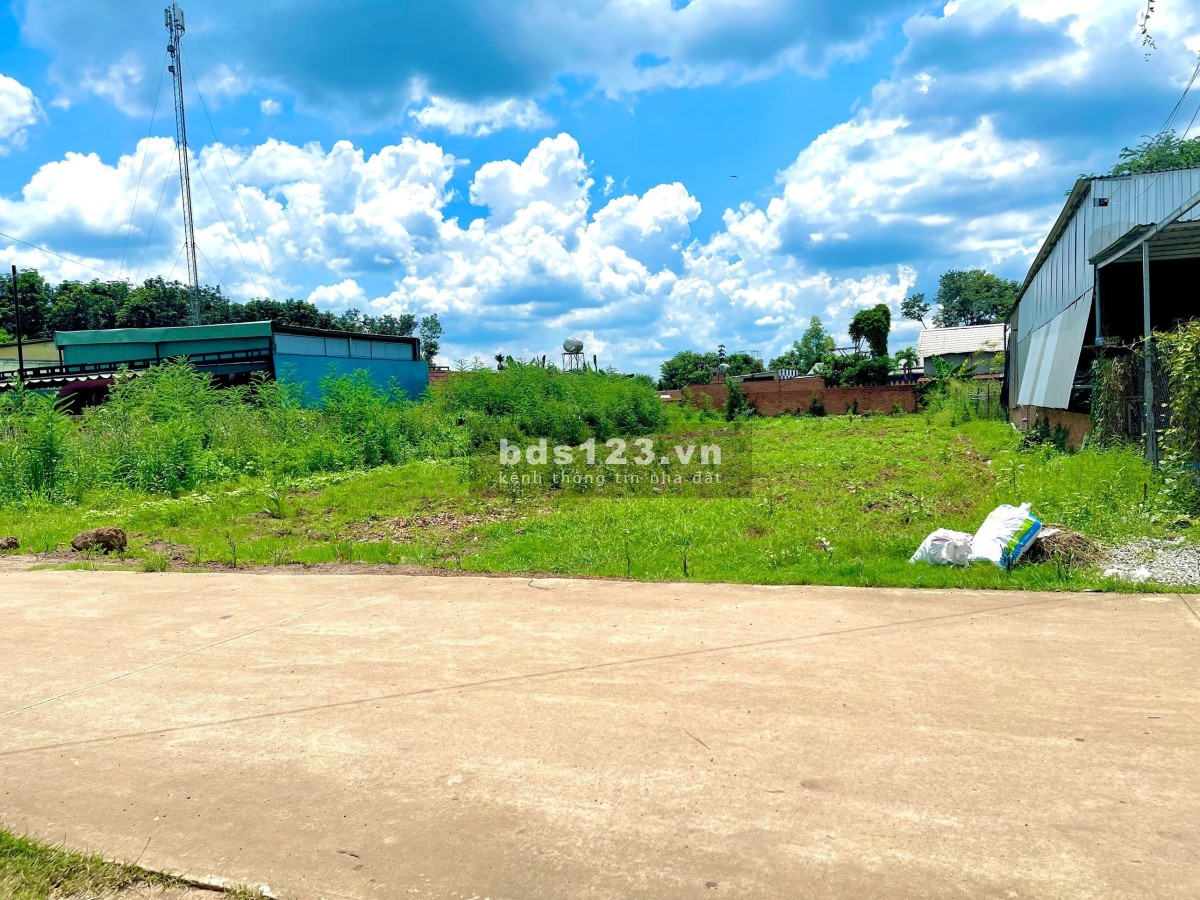 TÔI KẸT TIỀN CẦN BÁN LẠI GẤP LÔ ĐẤT 1250M2, GIÁ 400TR, BAO MỌI CHI PHÍ SANG TÊN.