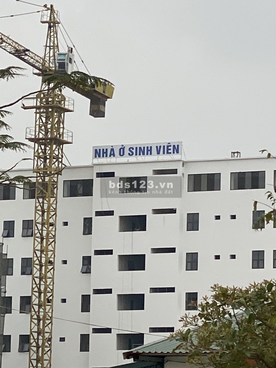 Cần bán gấp đất liền kề trước cổng ký túc xá trường ĐH Tài chính ngân hàng Hà Nội