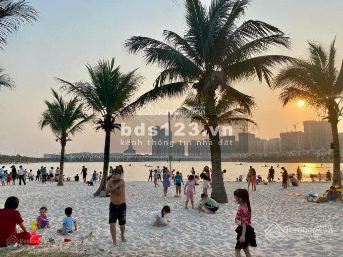 Cần bán căn liền kề 2 mặt tiền khu phố đi bộ Hải Âu Vinhomes ocean Park 6.x tr/m2 giá tốt nhất