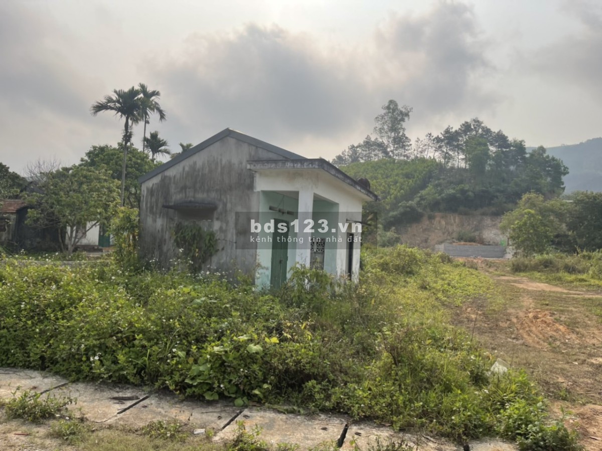 Bán đất nền Vân Đồn diện tích rộng 2033m2, gần sân bay, giá rẻ để đầu tư sinh lời