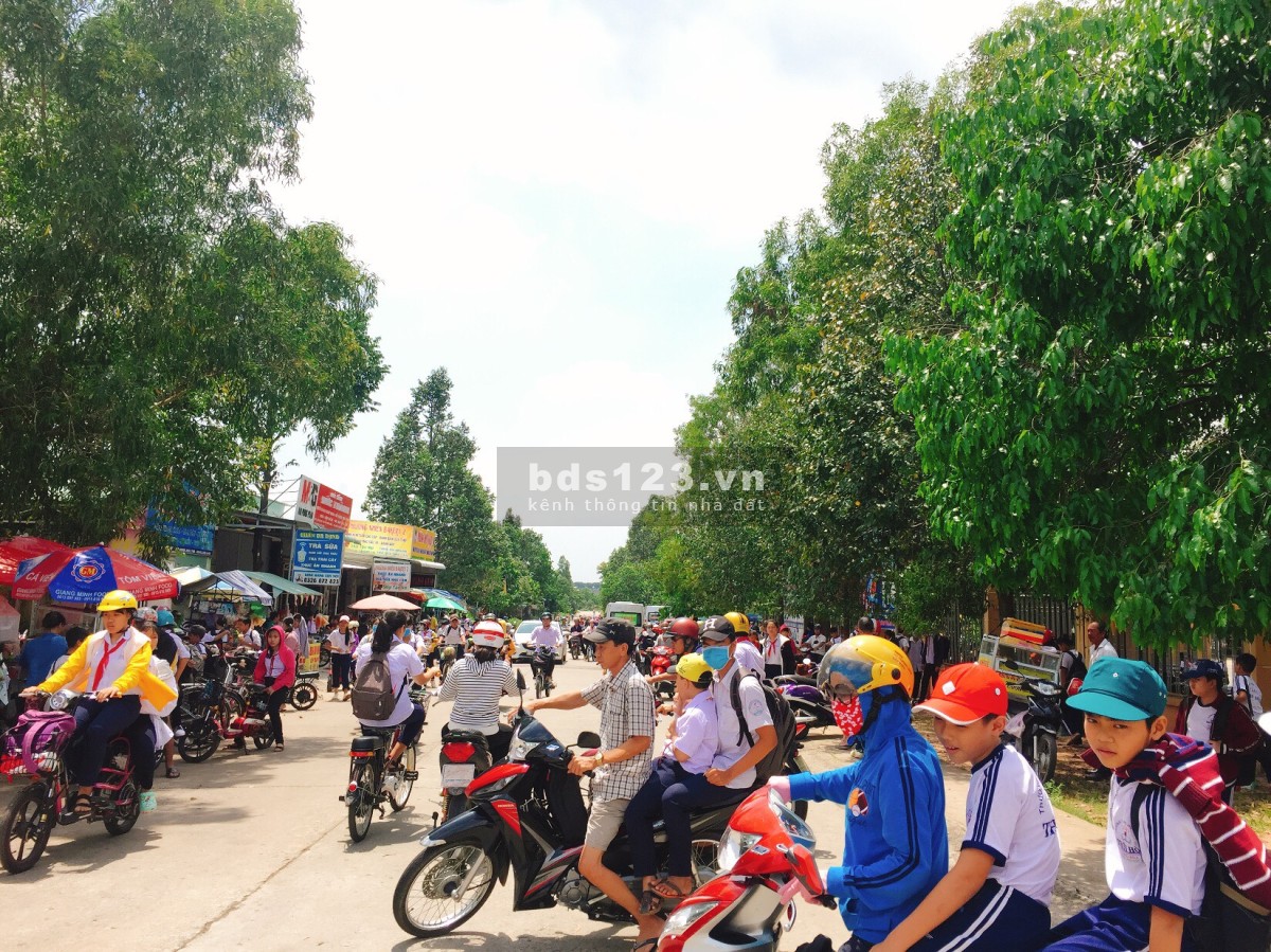 Tôi chủ sang gấp 2 dãy trọ và 300m2 đất ngay kcn Việt Sing 1,9tỷ tiện kdoanh, shr, dân đông