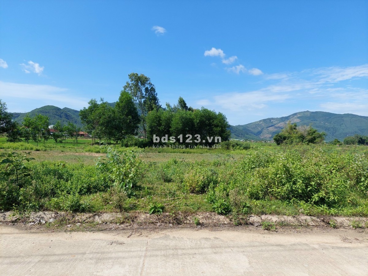 Bán đất Quốc Lộ 19, xã Nhơn Thọ, TX An Nhơn