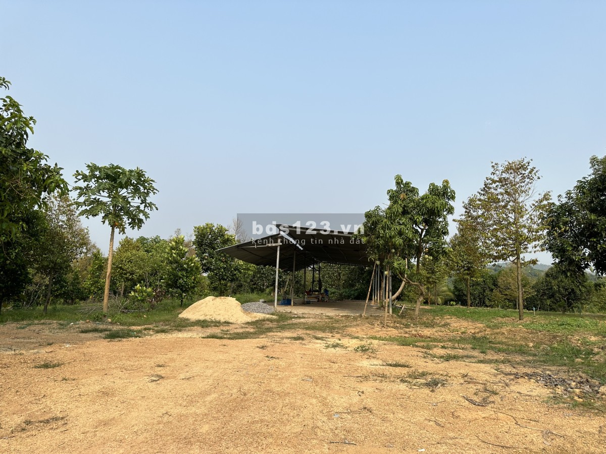 Đất sổ đỏ cách hồ Trị An 150m, diện tích 1060 m2, ngang 16m. Đường ôtô , khu đông dân