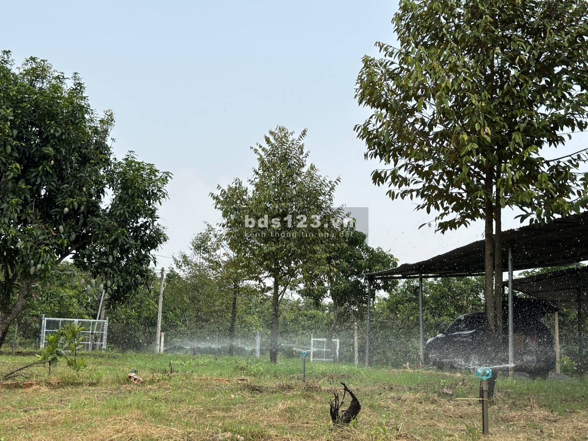 Đất sổ đỏ cách hồ Trị An 150m, diện tích 1060 m2, ngang 16m. Đường ôtô , khu đông dân
