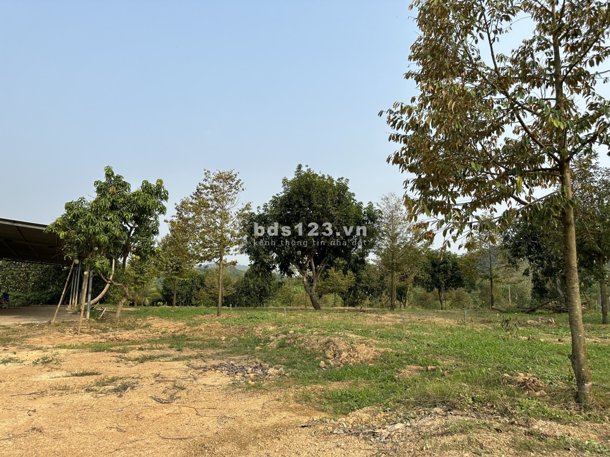 Đất sổ đỏ cách hồ Trị An 150m, diện tích 1060 m2, ngang 16m. Đường ôtô , khu đông dân